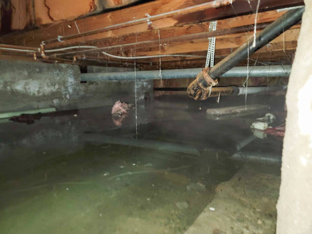 Best 24-hour water damage restoration  in Waller, TX
