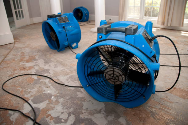 Best Water damage restoration specialists  in Waller, TX